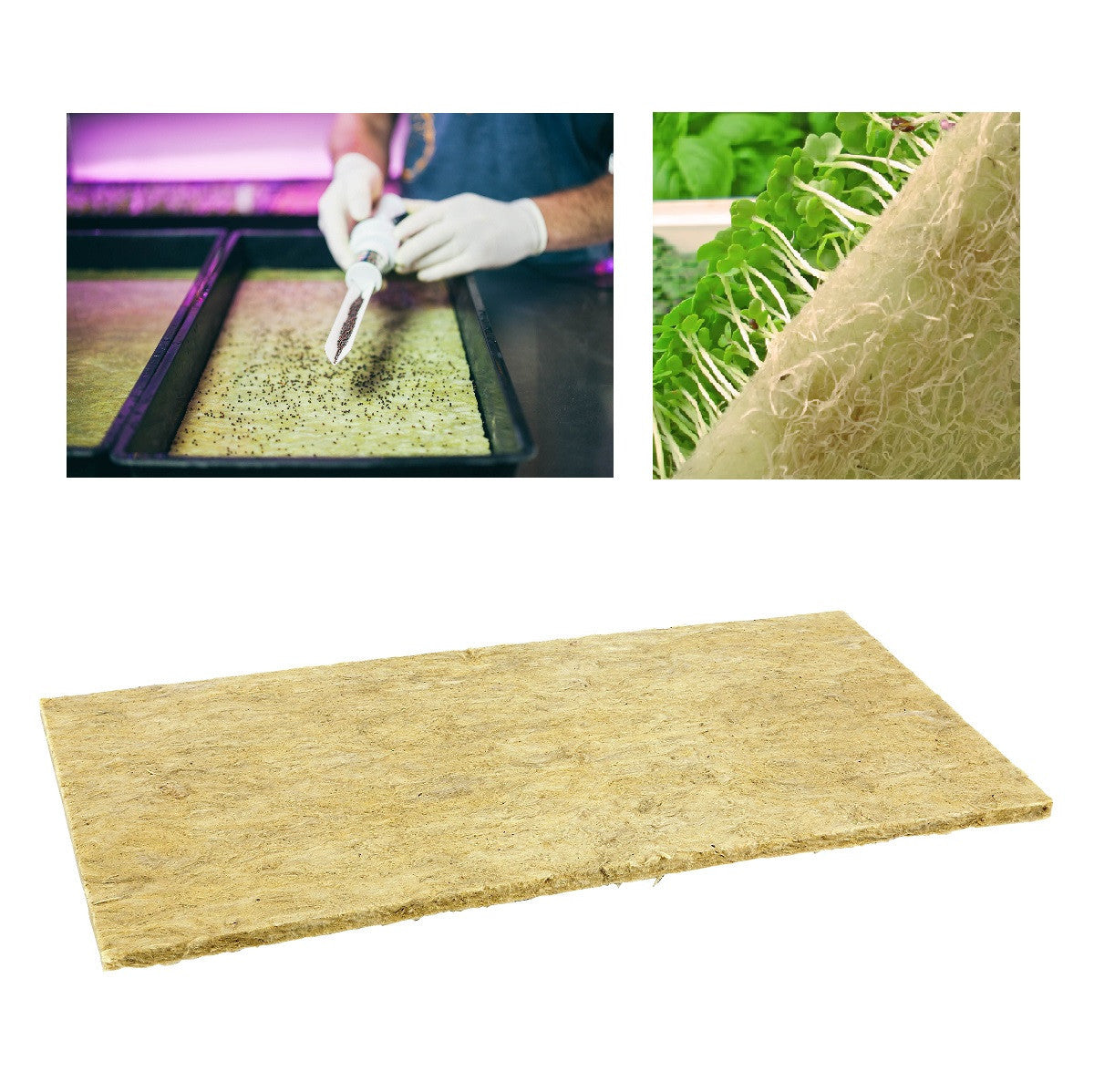 Grodan Kresseplatte Microgreens, 49,5x24x1 cm, 95 Stk. pro Box - Growshop360