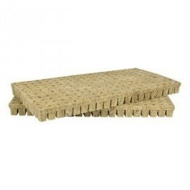 Grodan 25x25x40 mm Pflanzwürfel mit Loch, 1 Stück - Growshop360