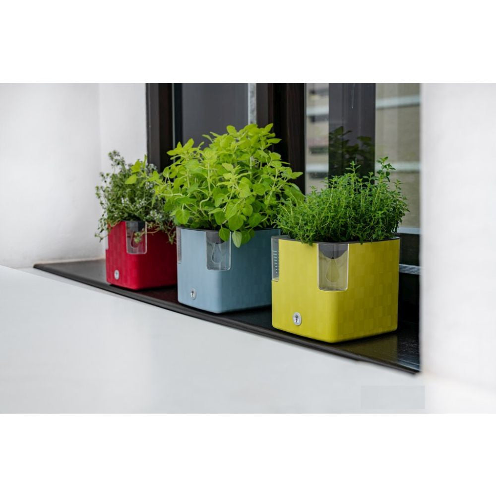 Plastkon Cobble Smart Pflanzgefäß Eisweiß, 15x15x14 cm - Growshop360