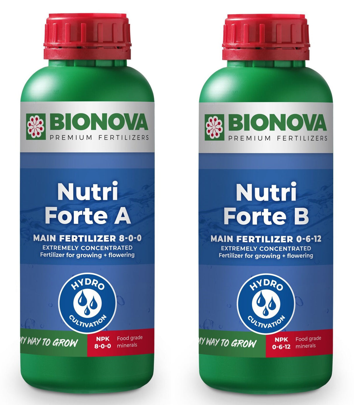BioNova Nutri Forte A+B 1 l - Growshop360