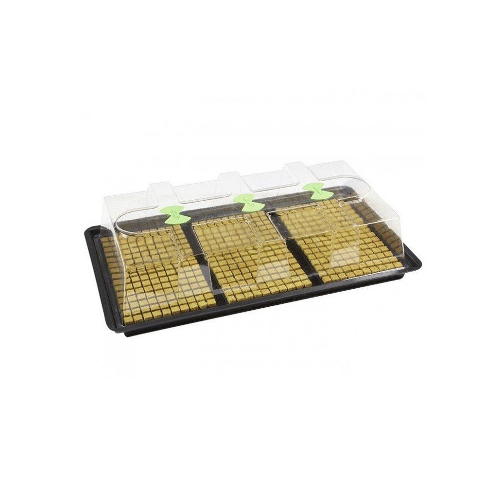 NutSystems X-Stream Propagator L, Hartplastik, unbeheizt, 110.5x58.5x28 cm - Growshop360