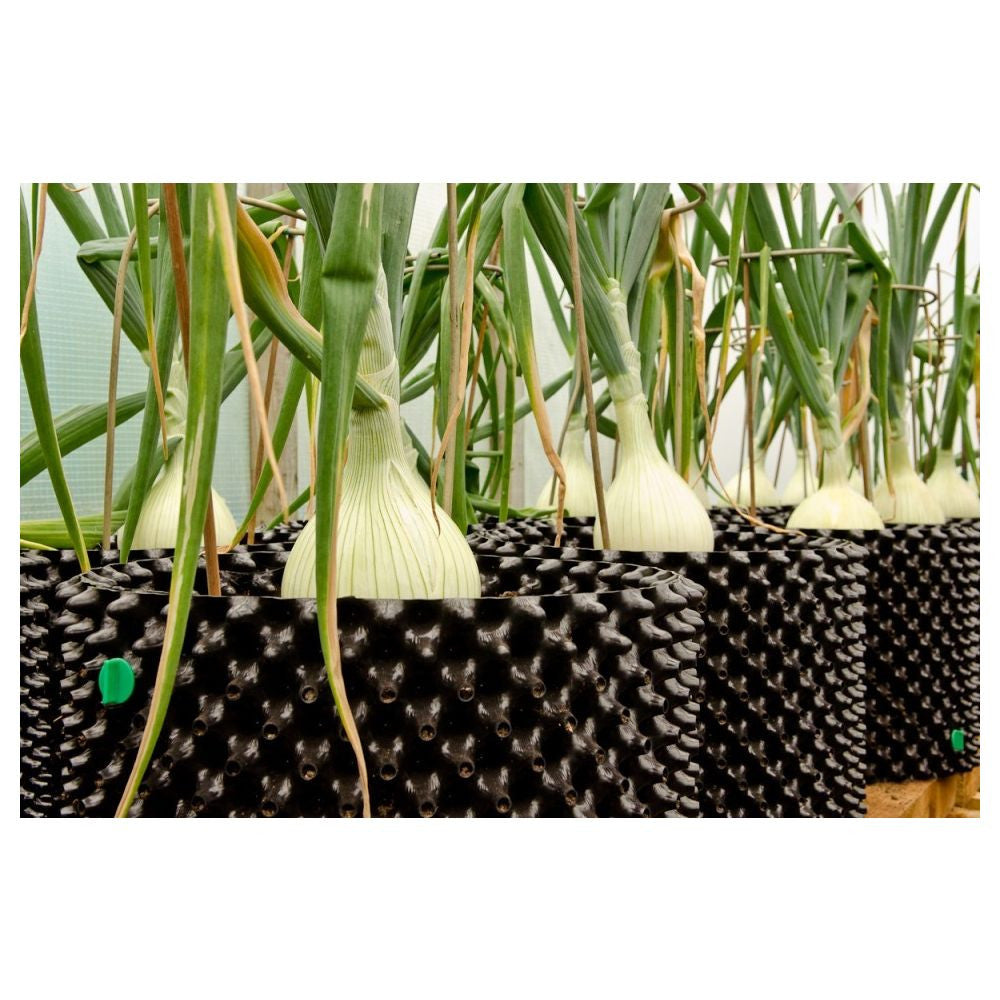 Air-Pot Blumentopf Kunststoff 1 l, 1 Stück - Growshop360