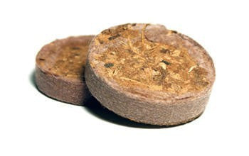 UGro Plug 38 mm 1 Stück, dehydrierte Kokosnuss - Growshop360