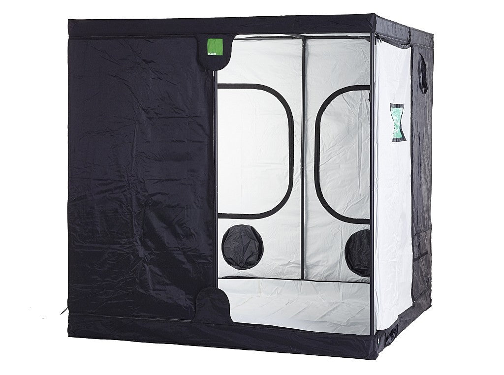 Budbox Silber PRO Shorty 100x100x180 cm - Growshop360