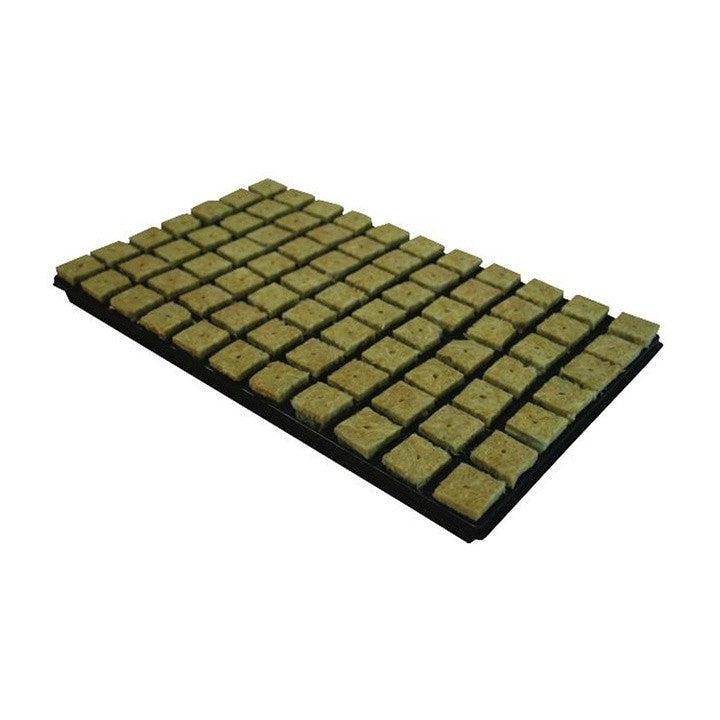 Grodan 36x36x40 mm Pflanzwürfel mit Loch und Pflanzgefäß 77 Stk. - Growshop360