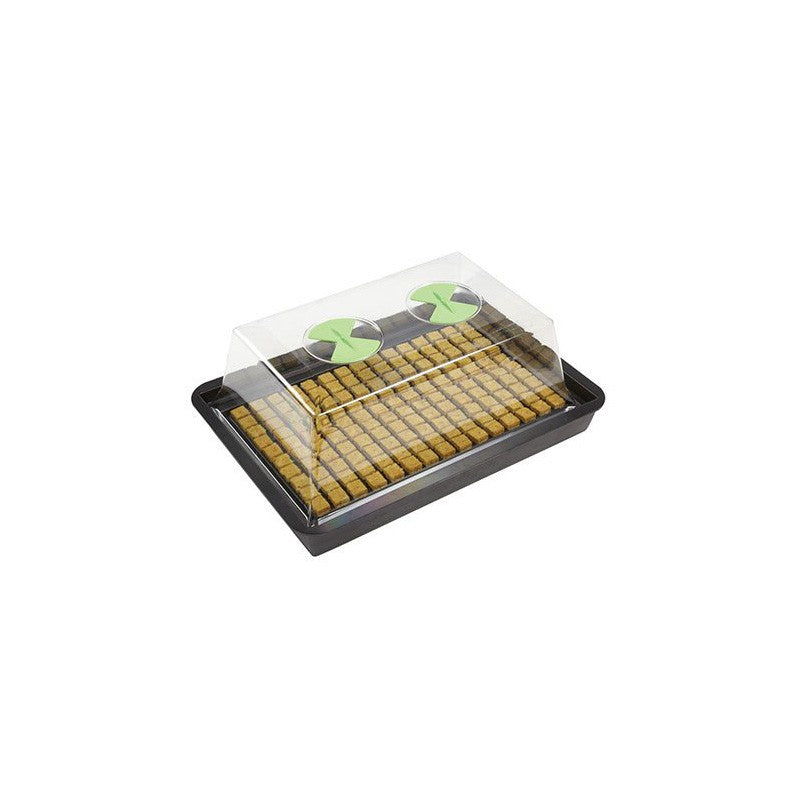 NutSystems X-Stream Propagator S, Hartplastik, unbeheizt, 61x41x27 cm - Growshop360