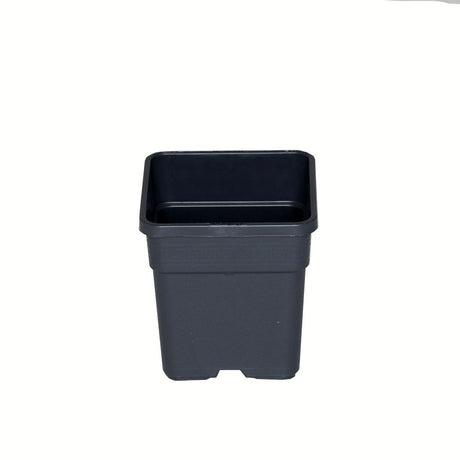 Wilma Blumentopf Kunststoff 11x11x19 cm - 1,65 l - Growshop360