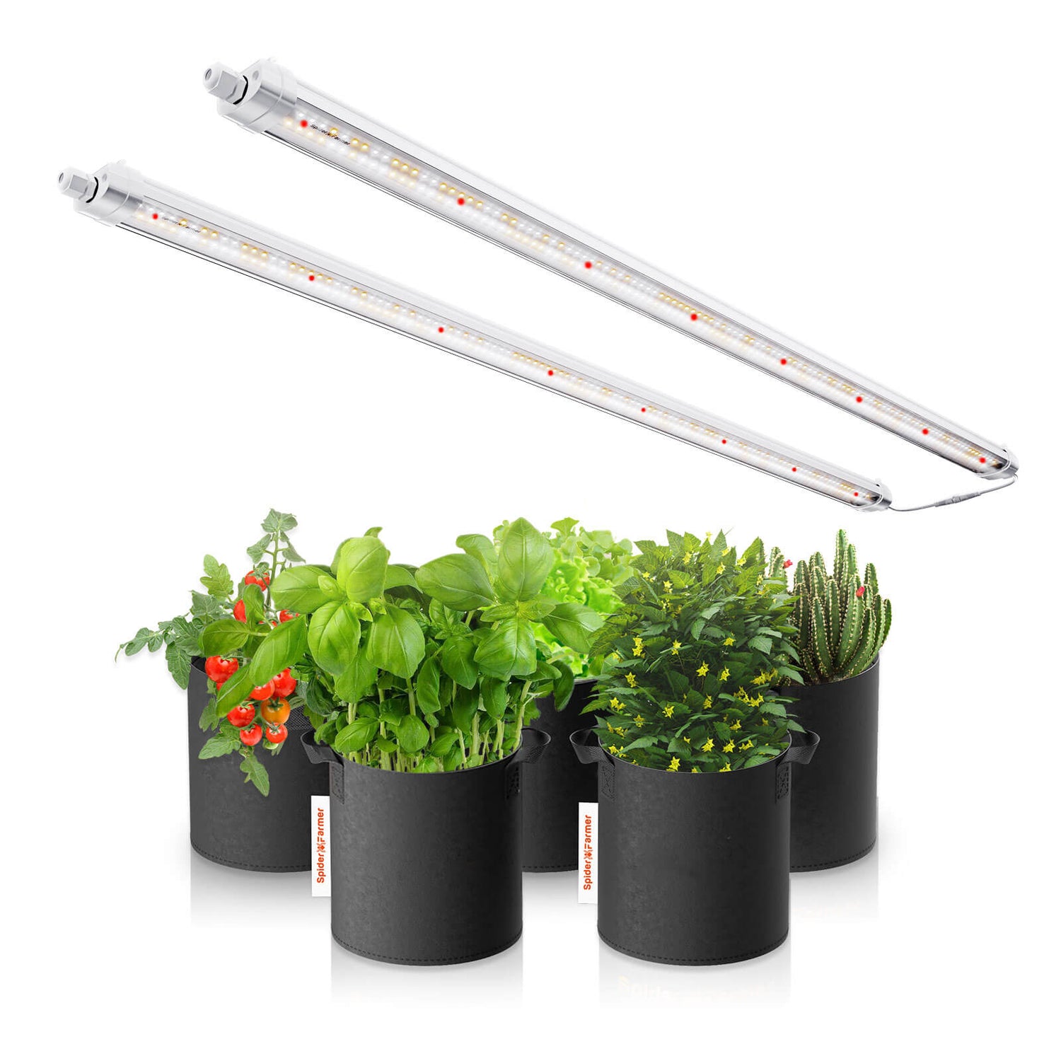 Spider Farmer® Glow80 80W LED plant lamp for vegetation and cultivation
