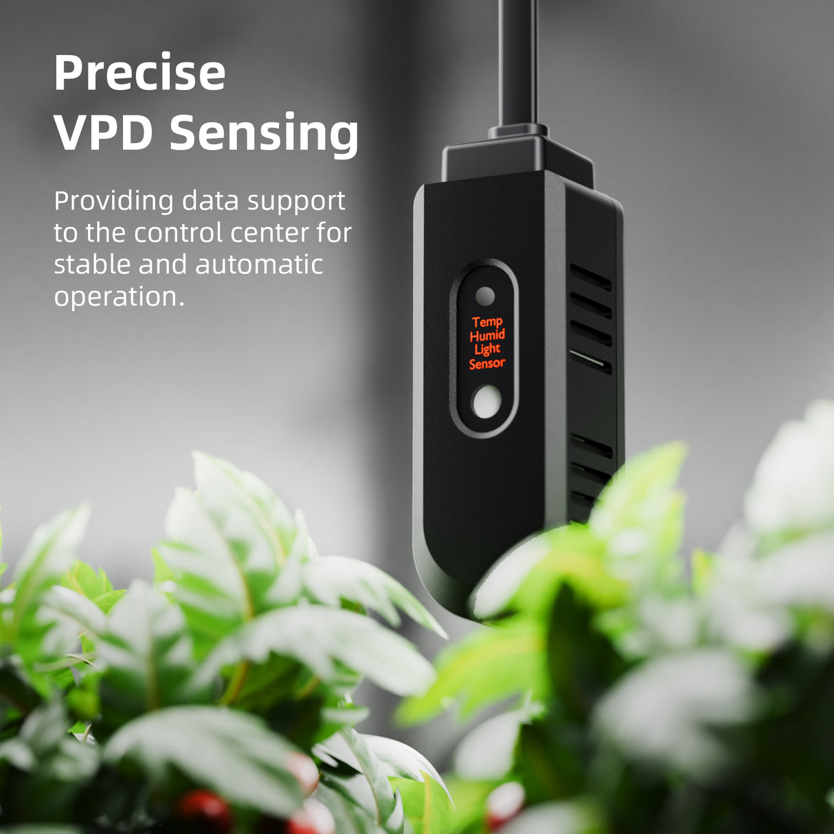 Spider Farmer® GGS Controller Kits – Smart Grow Light Controller