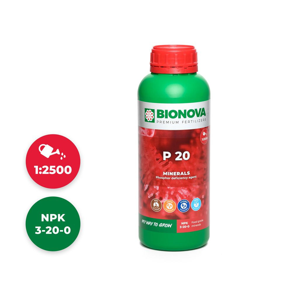 BioNova P 20 (Phosphor) 1 l - Growshop360