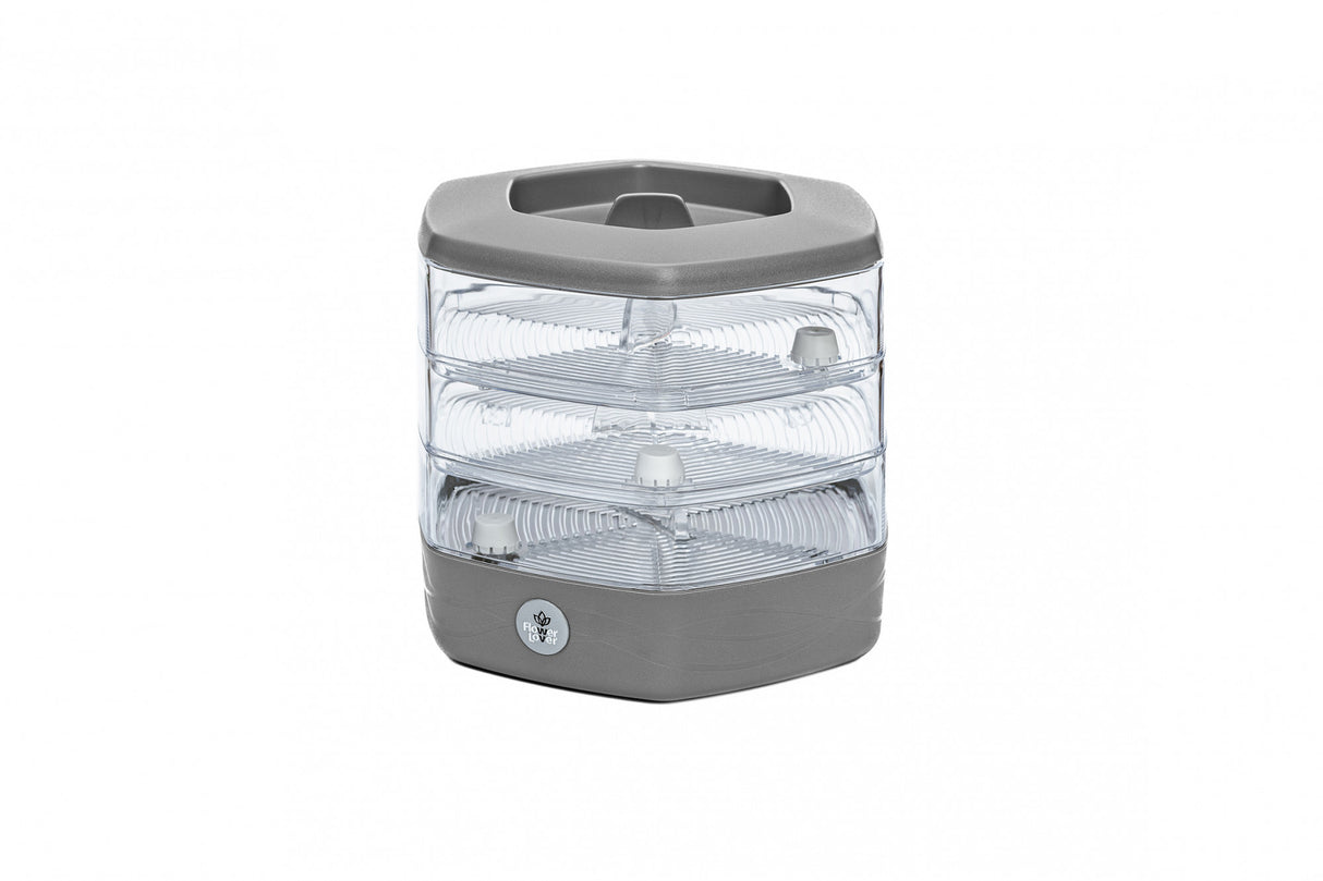 Mungo - Keimende Schale aus grauem Stein - Growshop360