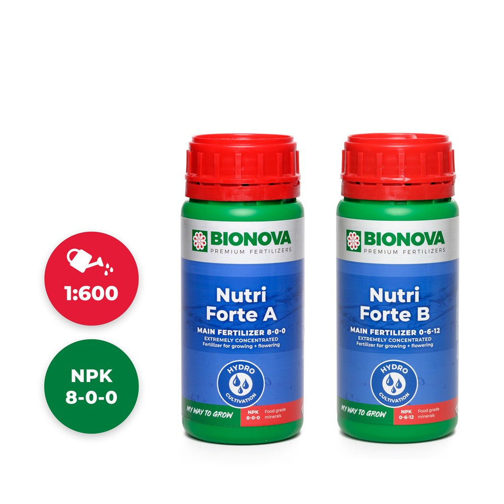 BioNova Nutri Forte A+B 250 ml - Growshop360