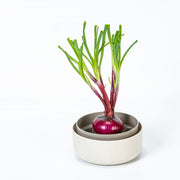 Plastia Regrow Schale - elfenbeinfarben - Growshop360