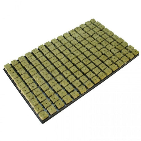 Grodan 25x25x40 mm Pflanzwürfel mit Loch und Pflanzgefäß 150 Stück, BOX 18 Stück - Growshop360