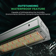 Mars Hydro SP-3000 300W LED Pflanzenlampe