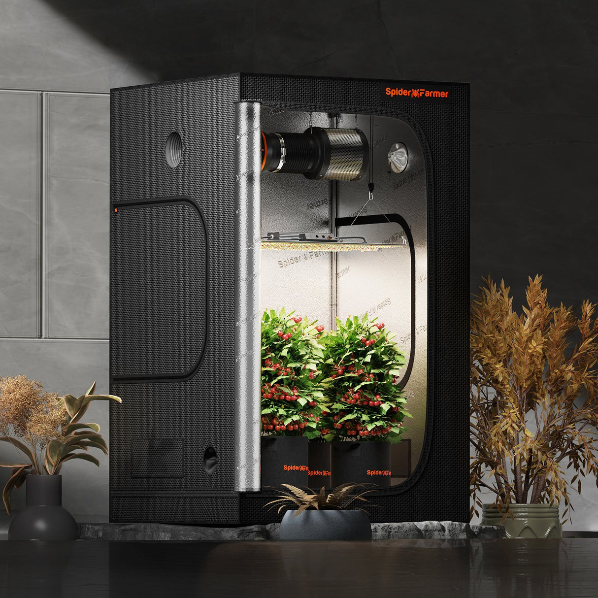 Spider Farmer 70x70x160 cm grow tent indoor growbox