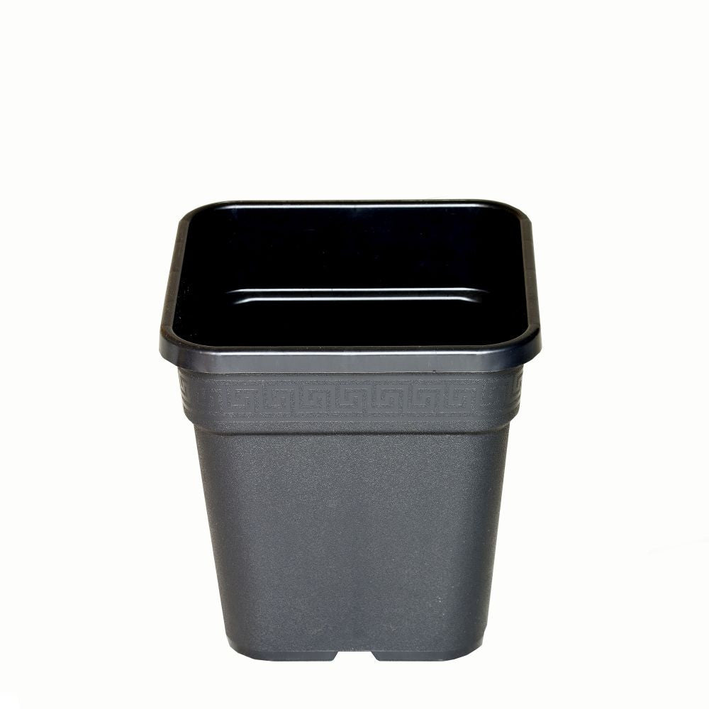 Wilma Blumentopf Plastik 24x24x28 cm - 11 l - Growshop360