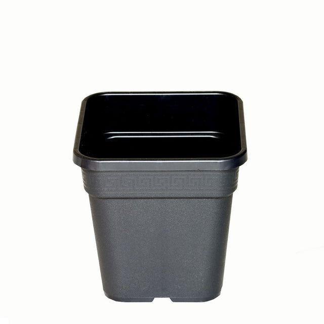 Wilma Blumentopf Plastik 24x24x28 cm - 11 l - Growshop360