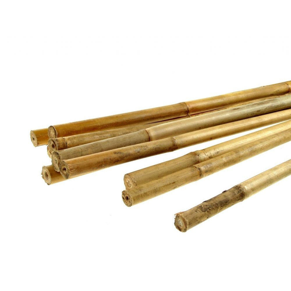 Bambusstock 90 cm - Growshop360