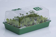 HGA Garten-Propagator 43, Hartplastik, unbeheizt, 38x24x18 cm - Growshop360