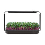 Urban LED 16W Mini Grow-Kit für Mikrogrün 6400K - Growshop360