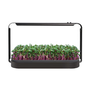 Urban LED 16W Mini Grow-Kit für Mikrogrün 6400K - Growshop360