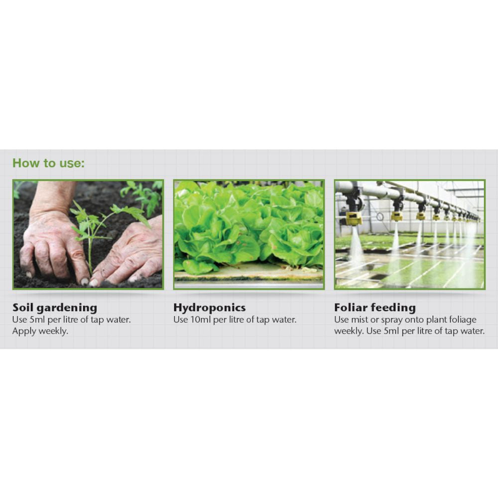 Growth Technology Formulex 5 l - Growshop360
