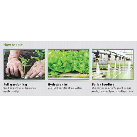 Growth Technology Formulex 5 l - Growshop360