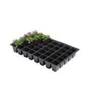 Garland Pflanzteller 40, 35,5x23x5 cm, 5er Pack - Growshop360