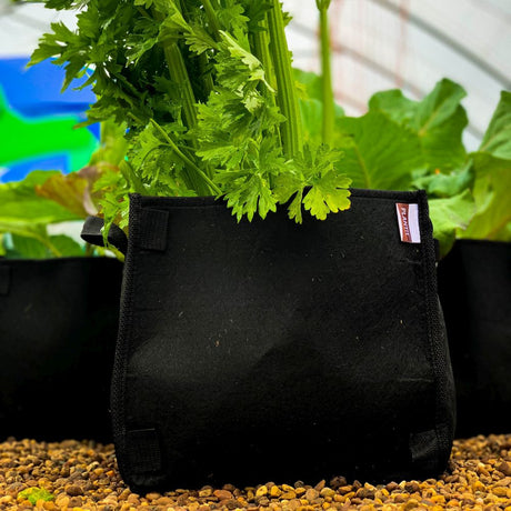 PLANT!T Quadratischer Textil-Blumentopf DirtPot 11l ohne Henkel - Growshop360
