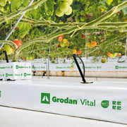 Grodan VITAL NG2.0 - 1000x150x75 mm, matt - Growshop360