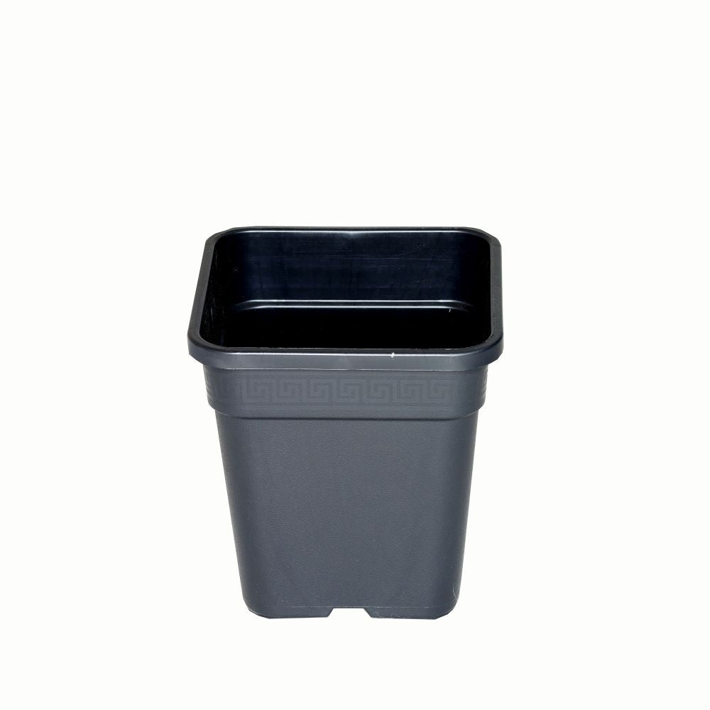Wilma Blumentopf Kunststoff 18x18x23 cm - 6,5 l - Growshop360