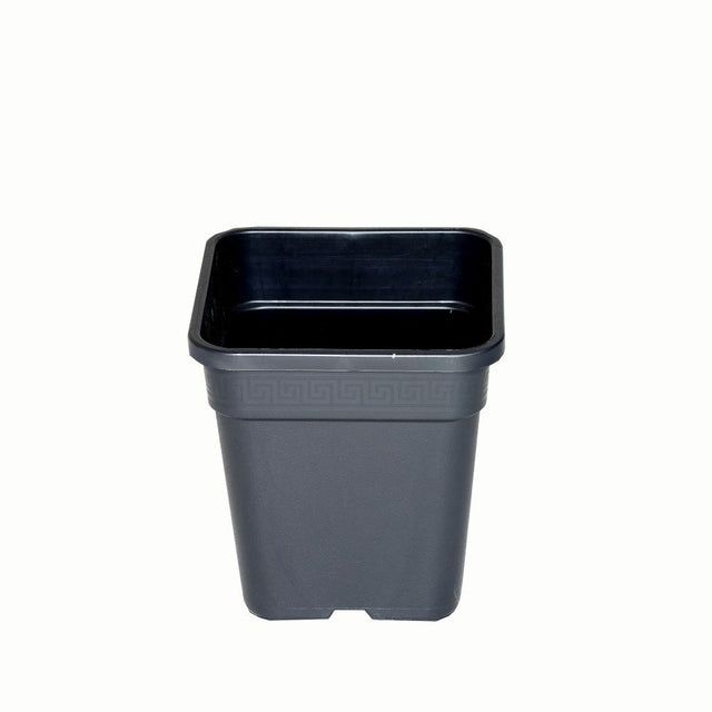 Wilma Blumentopf Kunststoff 18x18x23 cm - 6,5 l - Growshop360