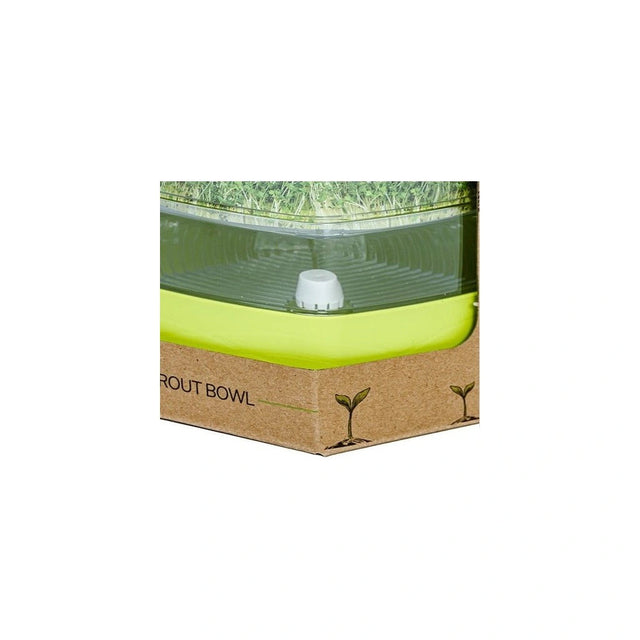 Ersatzkappe für Mungo-Keimschale - Growshop360