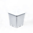 Blumentopf aus Plastik, viereckig weiß 25x25x26 cm - 11 l, PACKUNG 100 Stk. - Growshop360