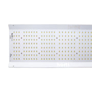 HortiONE LED 600 Quantum Board 220W 2.9 µmol/J - Growshop360