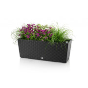 Selbstbewässernder Blumentopf Supreme, Länge 50cm Steingrau - Growshop360