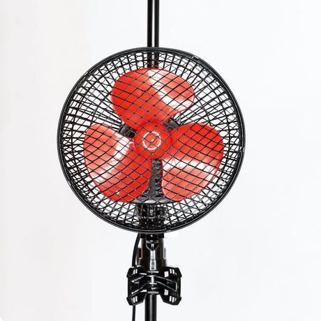 Urban Oscilfan 20W, oszillierender Ventilator mit zwei Geschwindigkeiten, Durchmesser 24 cm - Growshop360