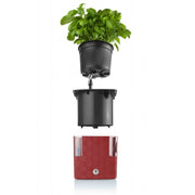 Plastkon Cobble Smart Pflanzgefäß Basilikum Grün, 15x15x14 cm - Growshop360