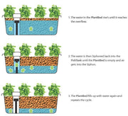 FischPlant Aquaponik Produktionsanlage - Growshop360