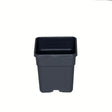 Wilma Blumentopf Kunststoff 11x11x19 cm - 1,65 l - Growshop360