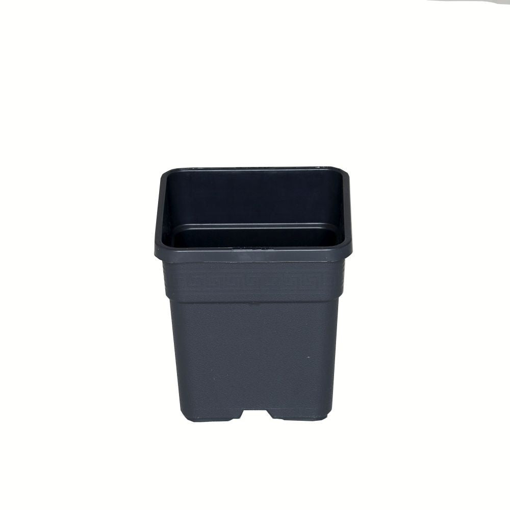 Wilma Blumentopf Kunststoff 11x11x19 cm - 1,65 l - Growshop360