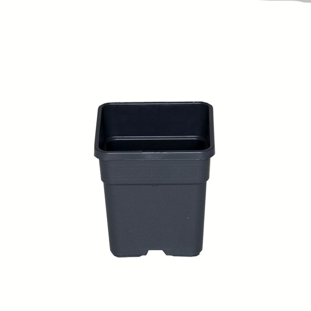 Wilma Blumentopf Kunststoff 11x11x19 cm - 1,65 l - Growshop360