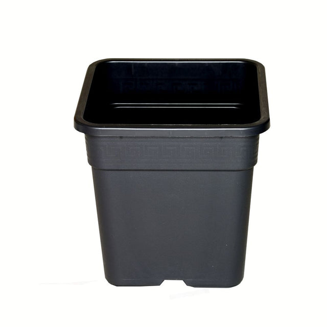 Wilma Blumentopf Kunststoff 33x33x35 cm - 25 l - Growshop360