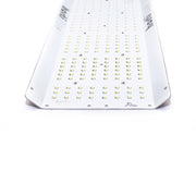 HortiONE LED 600 Quantum Board 220W 2.9 µmol/J - Growshop360