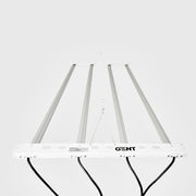 GENT G-LED Microgreens Dimmer Rack Komplett 100W - Growshop360