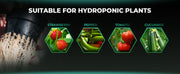 Mars Hydro Hydroponisches 5-Gallonen DWC-System-Kit mit 2 Eimern (je 8 Zoll)