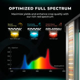 SIG:etag:W/"6758e6cb-a66c1