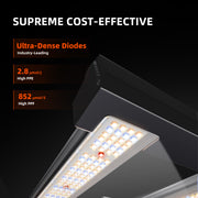 Spider Farmer® G3000 300W LED Grow Light Dimmable Full Spectrum Pflanzenlampe