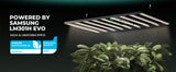 SIG:etag:W/"6758e6cc-2e44c